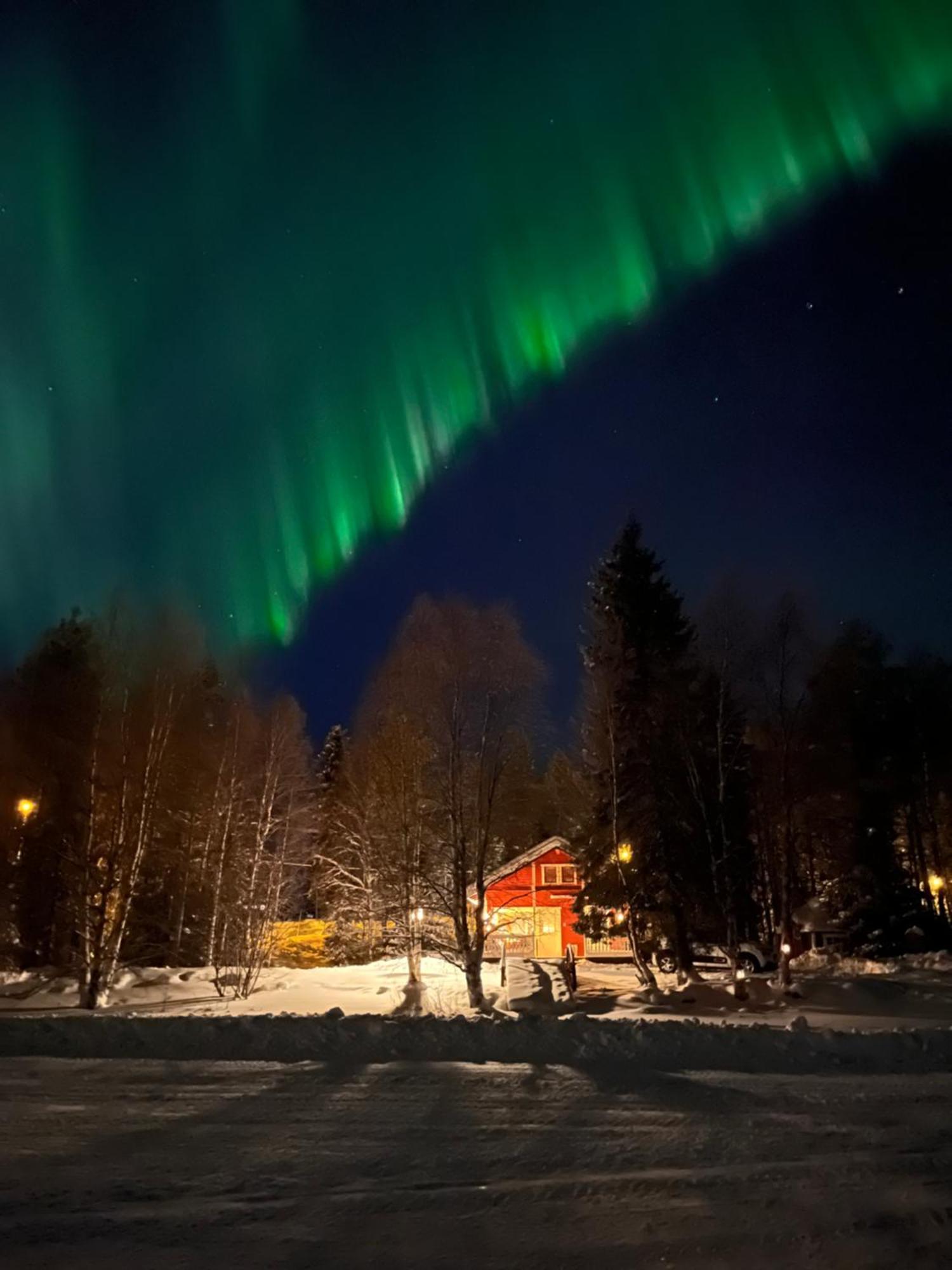 Vikajaervi Lake View Experience Igloos Rovaniemi Kültér fotó