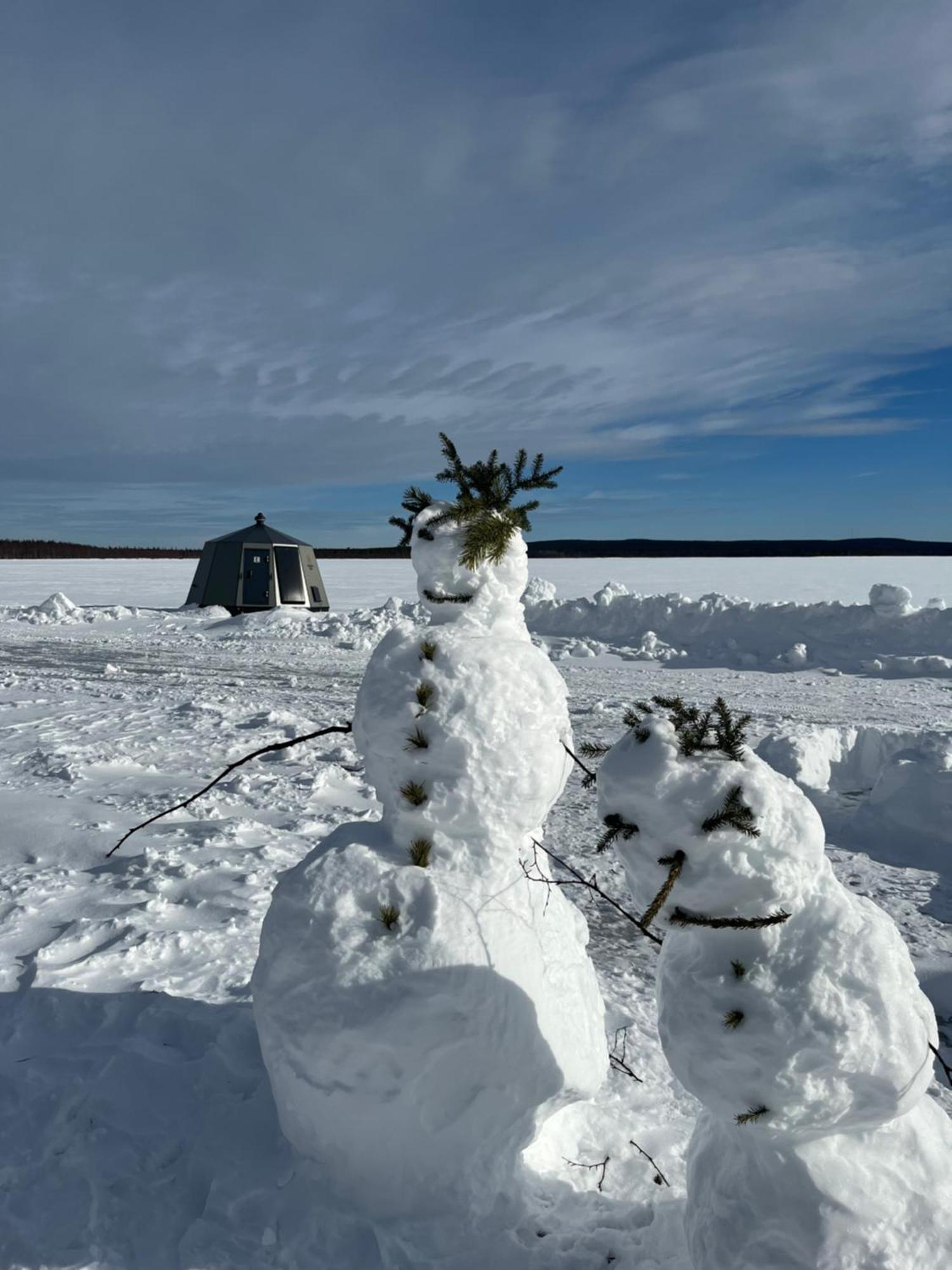 Vikajaervi Lake View Experience Igloos Rovaniemi Kültér fotó