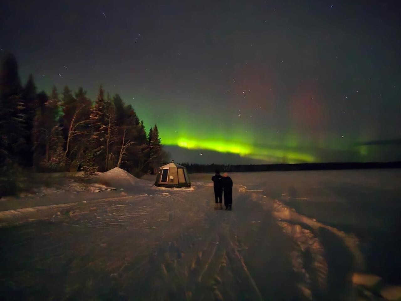 Vikajaervi Lake View Experience Igloos Rovaniemi Kültér fotó